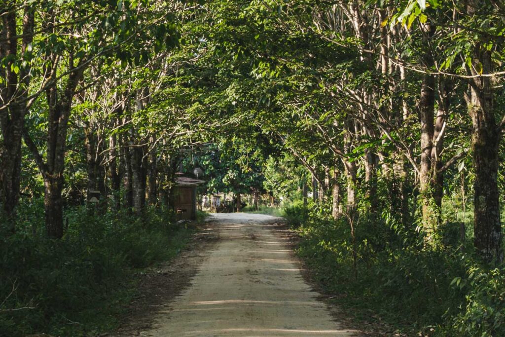 Estrada em Gaviões