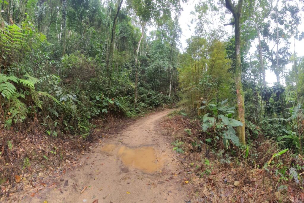 Trecho Imbaú