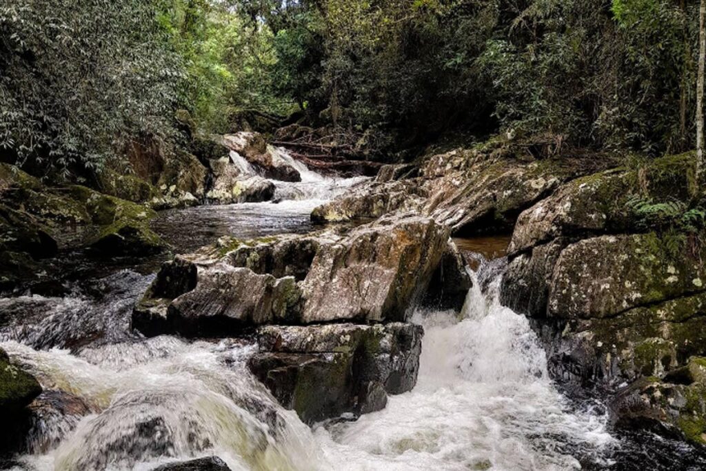 Trecho Roncador