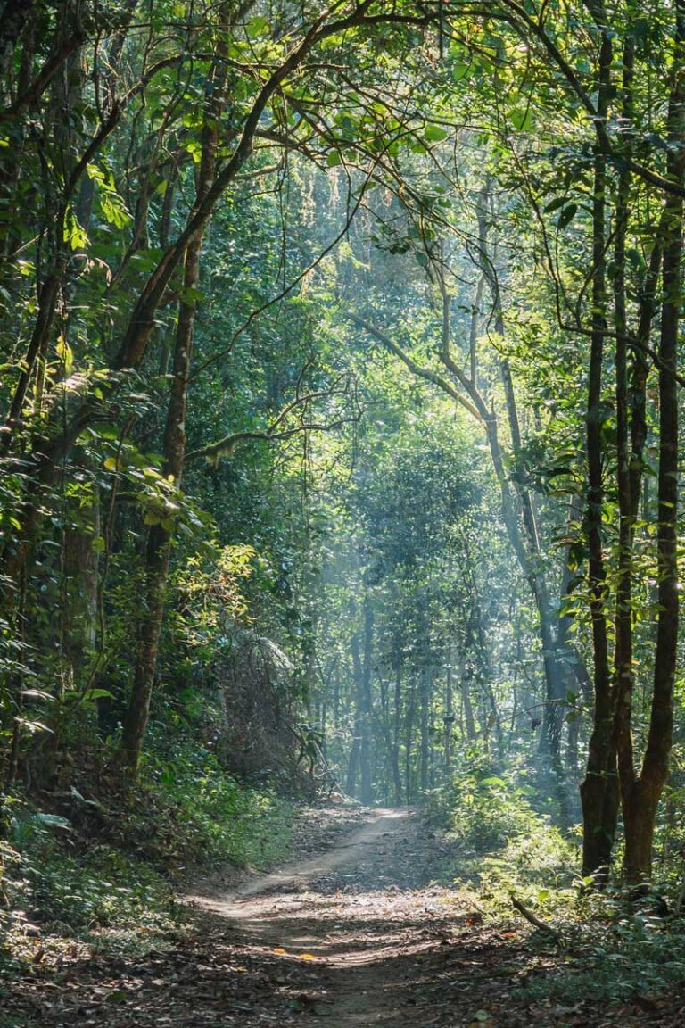 Trecho-Cachoeira-Secreta-001a