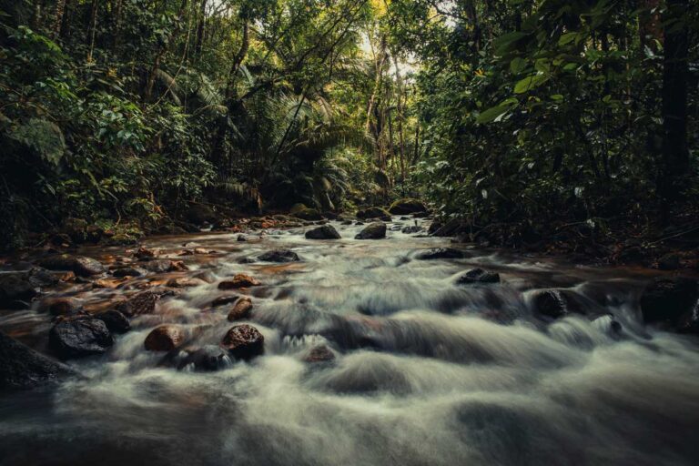 Trecho-Cachoeira-Secreta-002