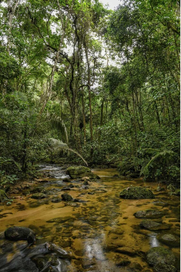 Trecho-Cachoeira-Secreta-003a