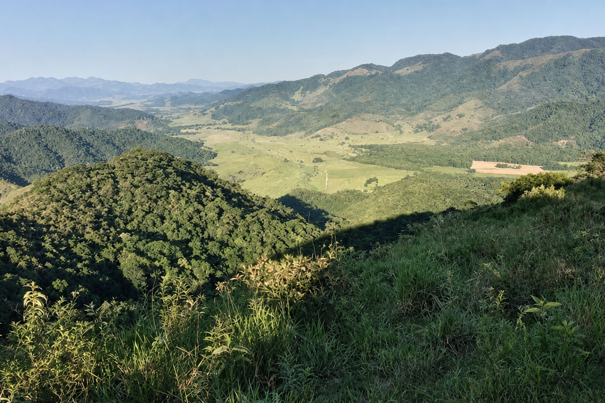 Vista Panorâmica de Patis